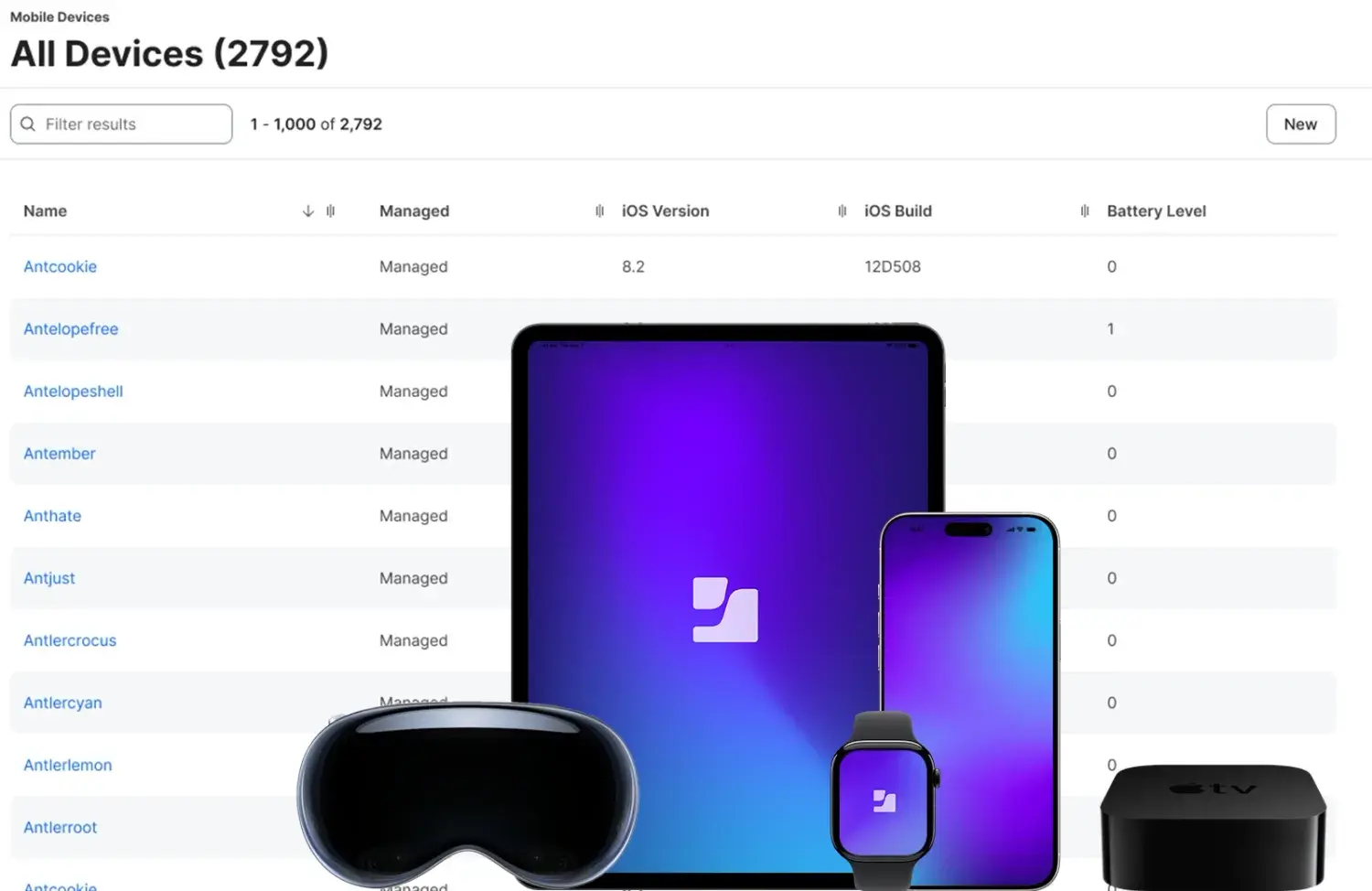 product-scale-short-content_copy